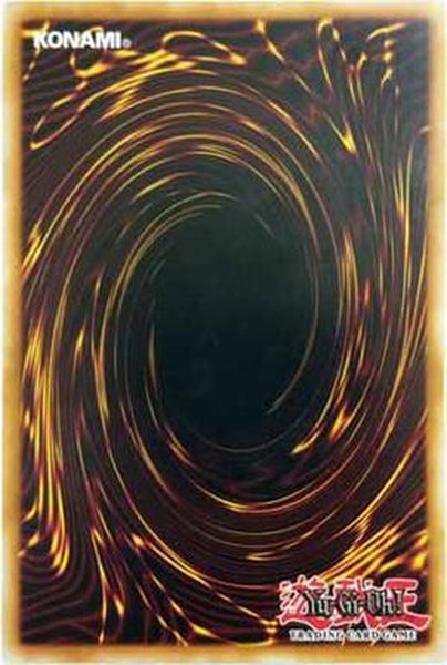 YuGiOh back